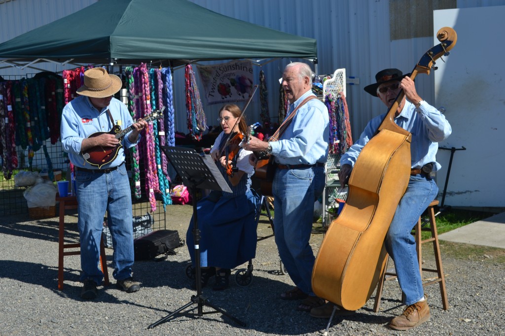 musicians