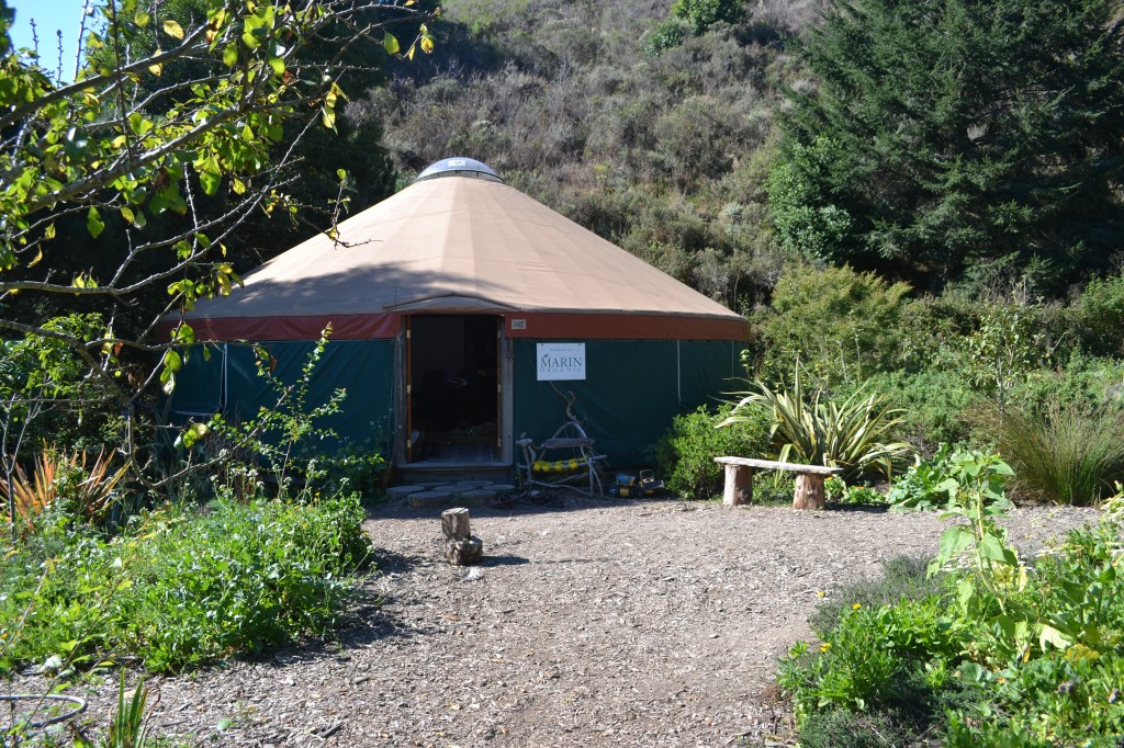 the yurt