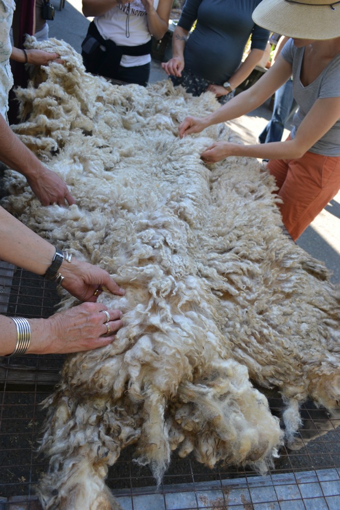 fleece