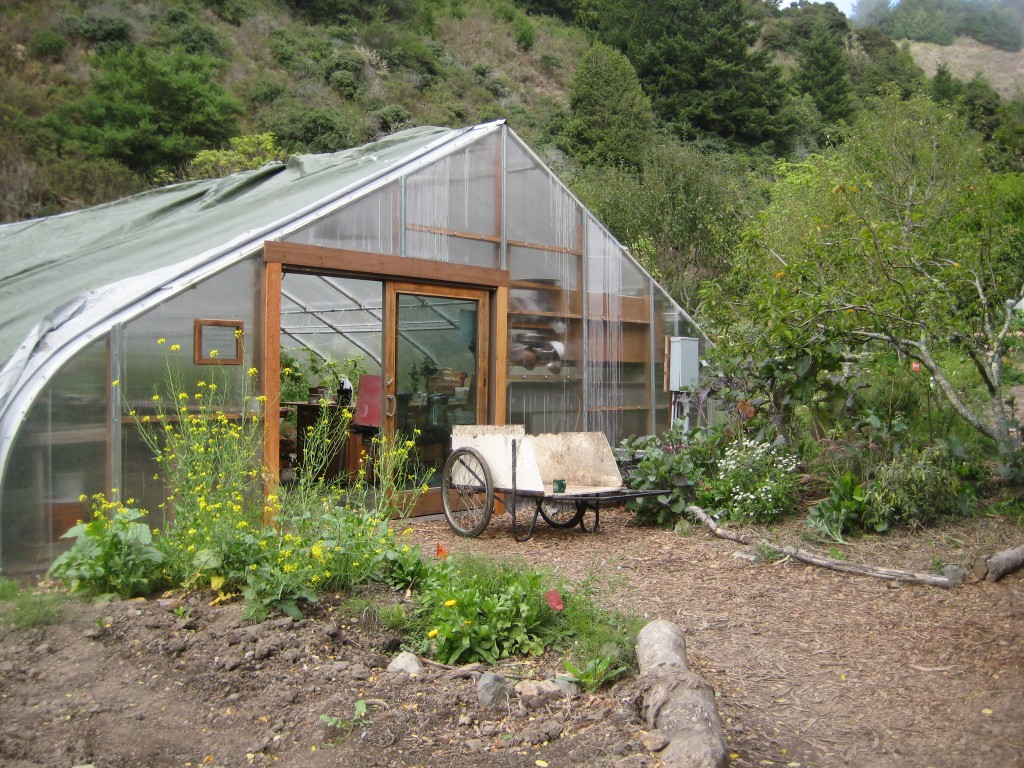 the greenhouse