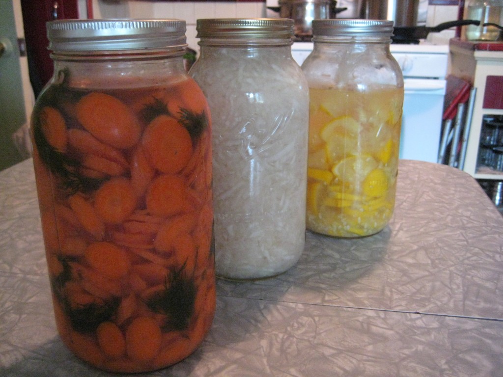 veggie ferments