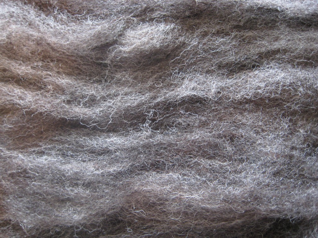 wool close up